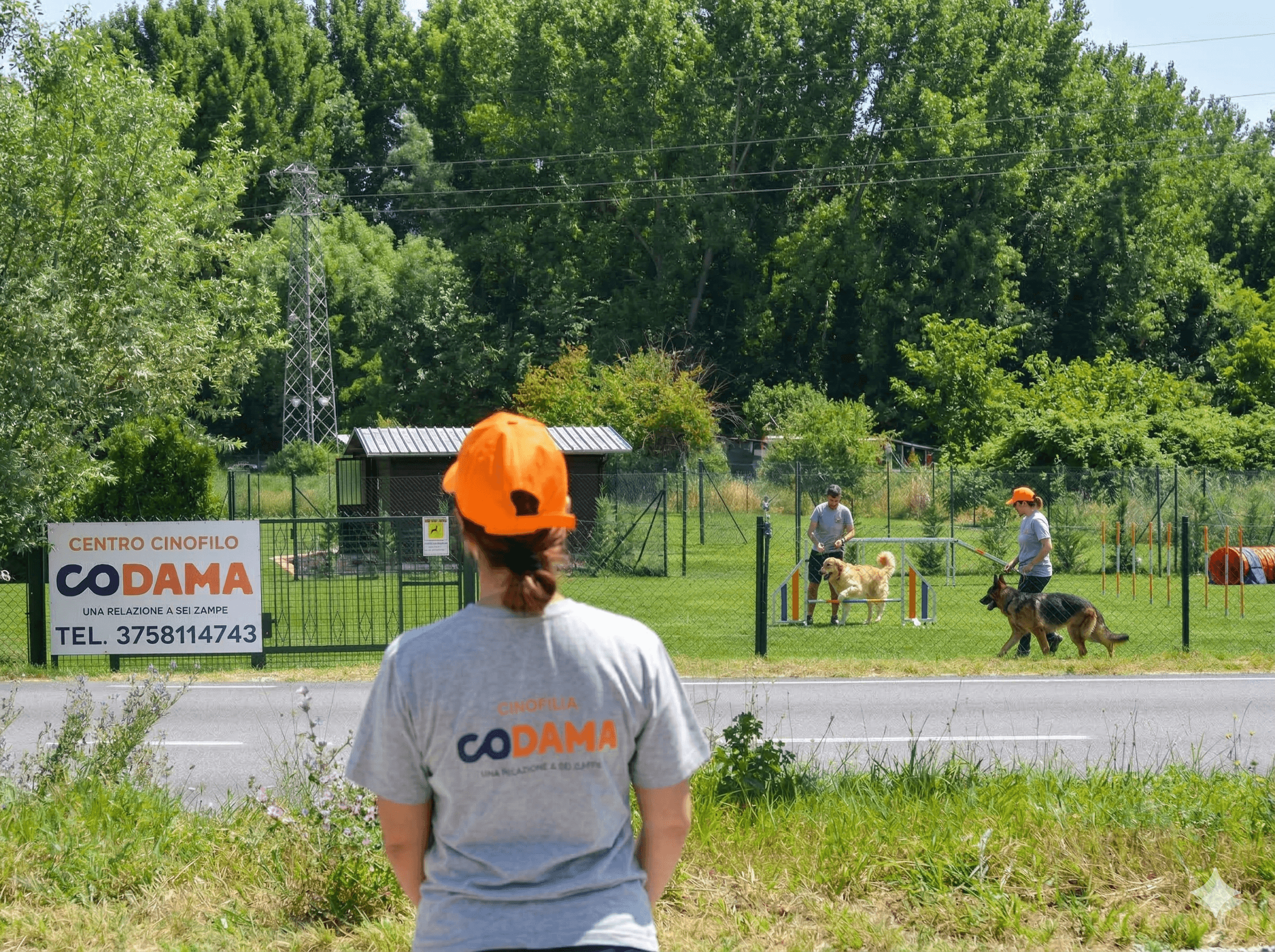 Centro Cinofilo Codama L'Aquila - Domande Frequenti