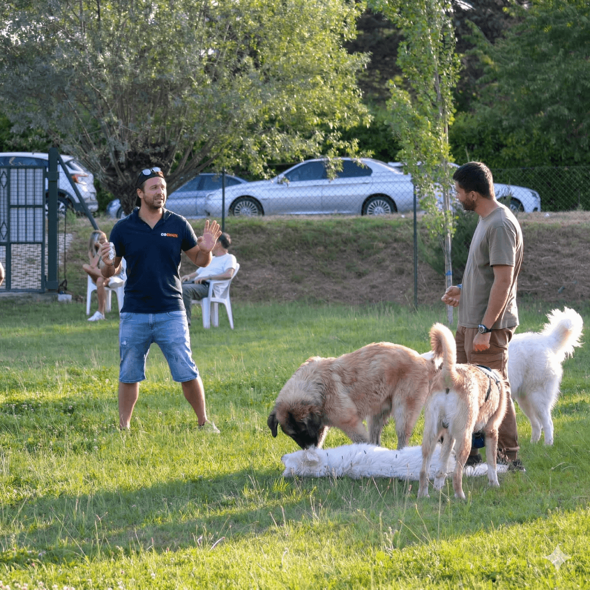 Anteprima video Centro Cinofilo Codama